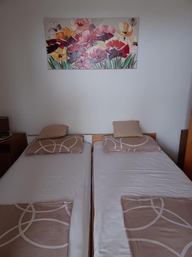 Apartments Vesna Nova Vas  外观 照片