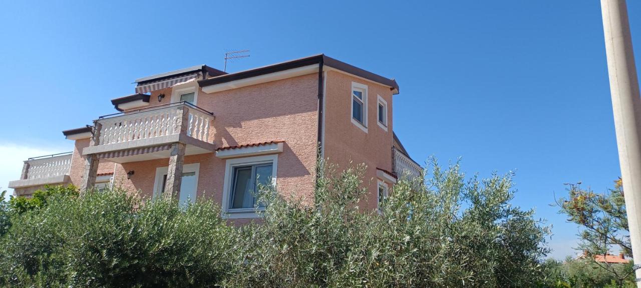 Apartments Vesna Nova Vas  外观 照片
