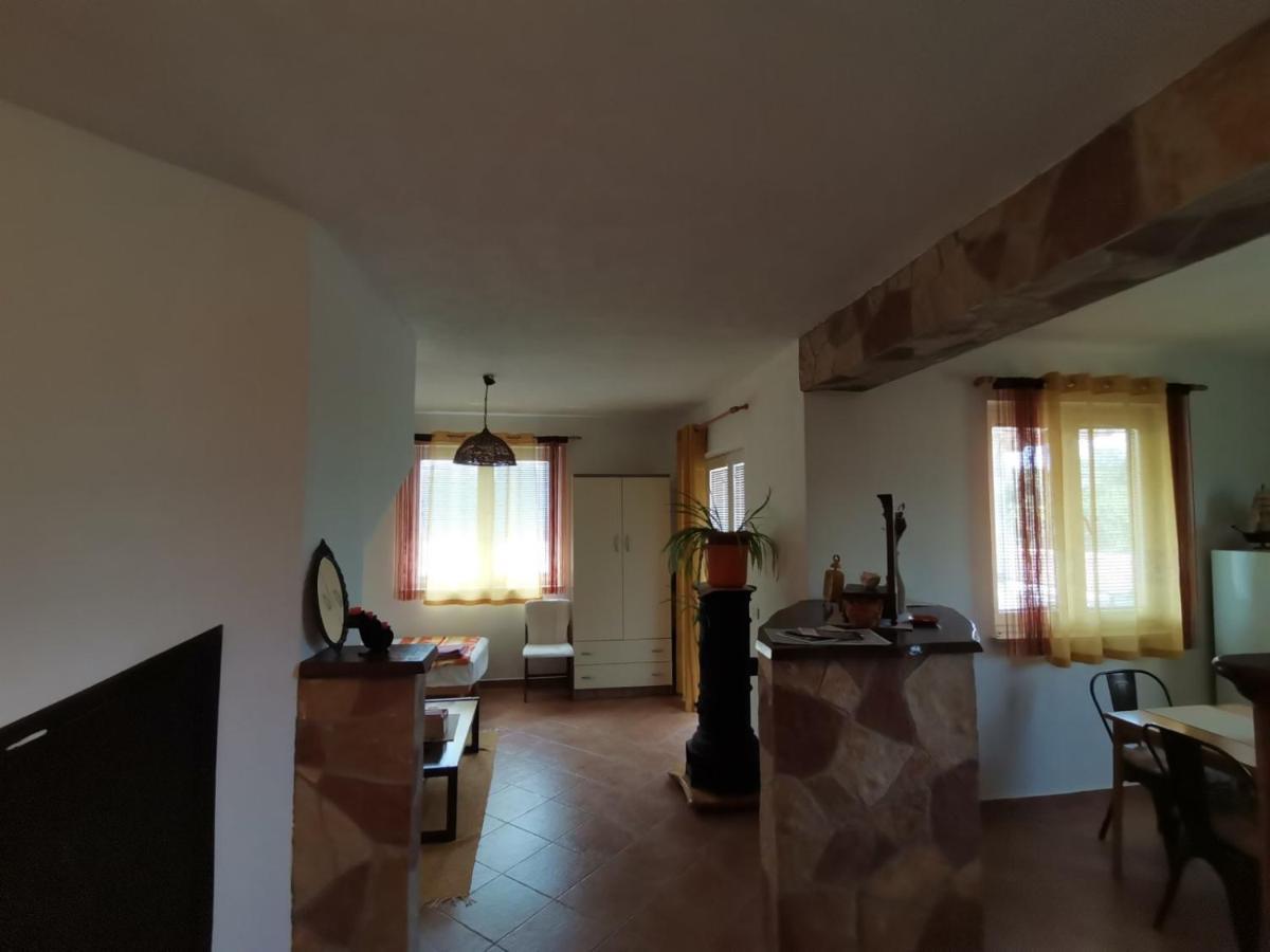 Apartments Vesna Nova Vas  外观 照片