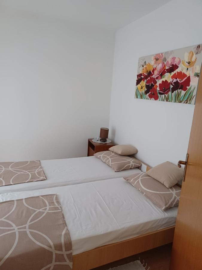 Apartments Vesna Nova Vas  外观 照片