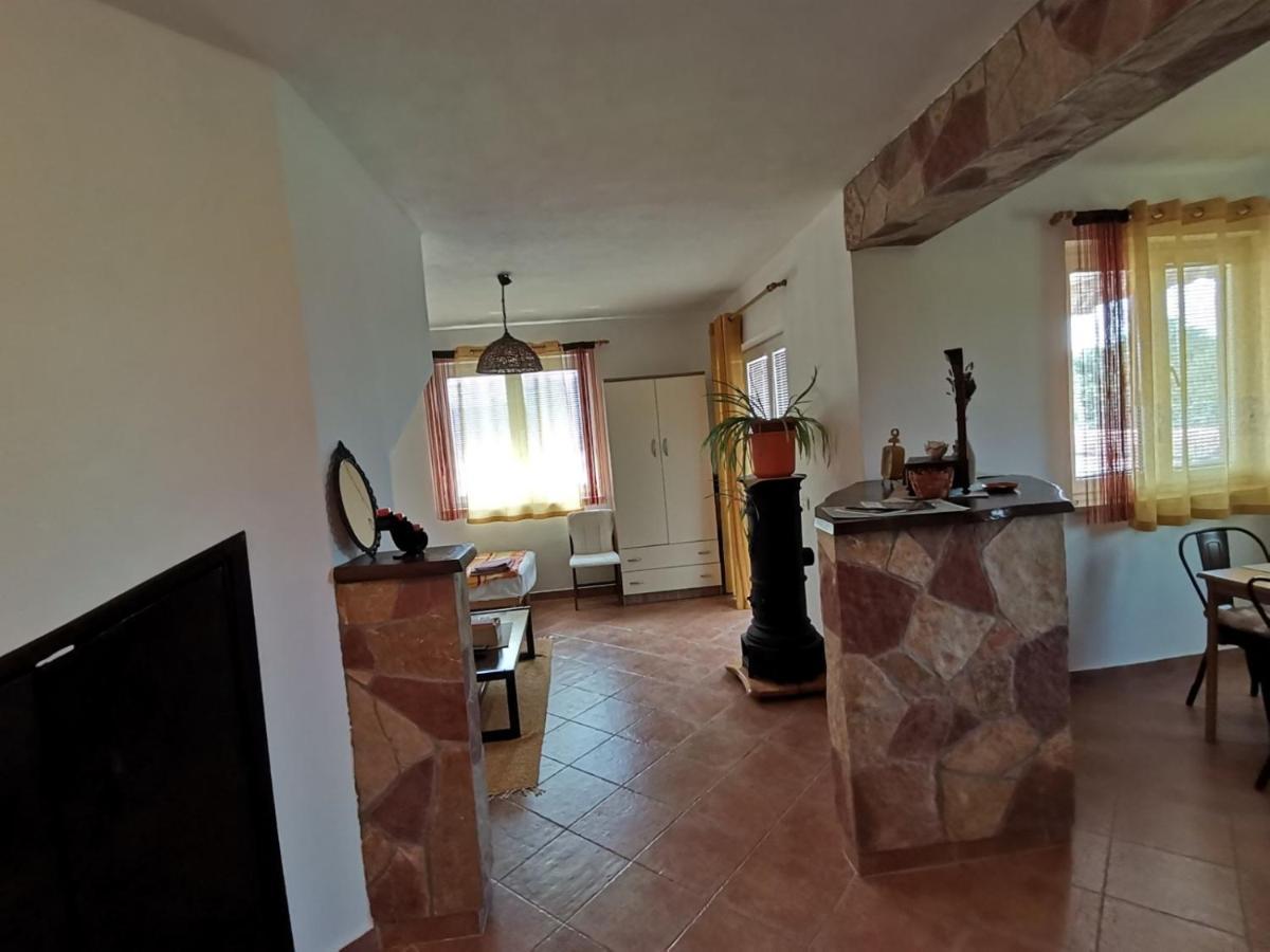 Apartments Vesna Nova Vas  外观 照片
