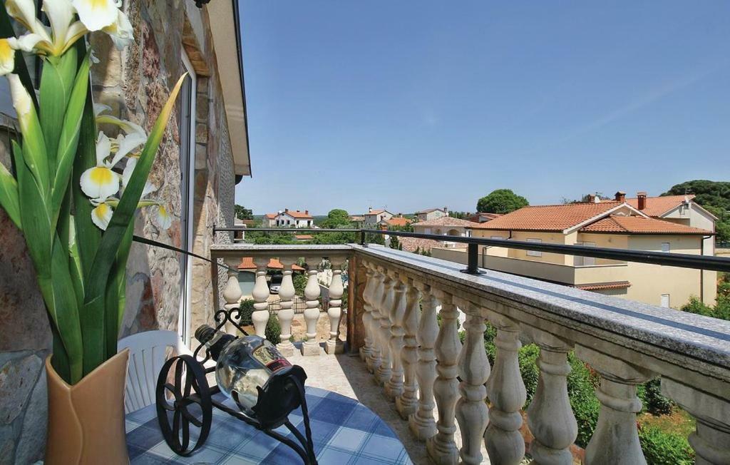 Apartments Vesna Nova Vas  外观 照片