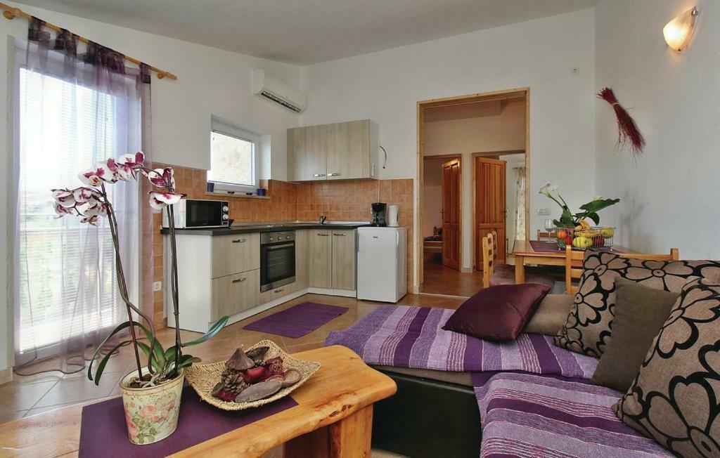 Apartments Vesna Nova Vas  外观 照片
